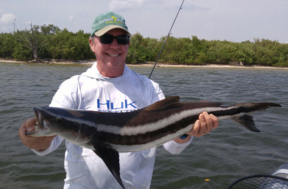 Gentlemen holding a Cobia fish caught in Tampa Bay