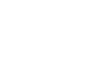 Finsanity Fishing Charters Logo