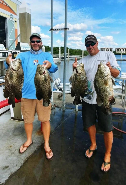 Pair of gentlemen holding fish that was caught in Tampa Bay