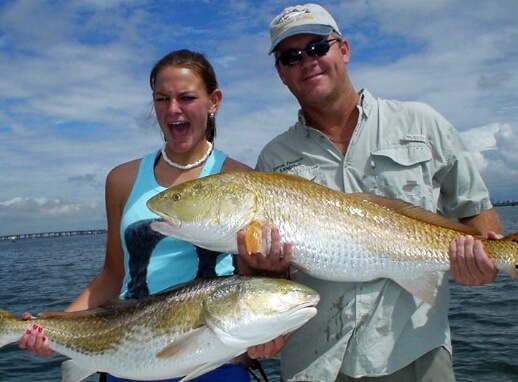 Redfish fish caught in Tampa Bay Florida